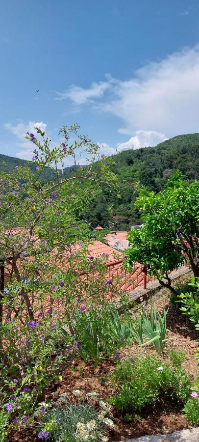 Apartment Park Rabac Extérieur photo