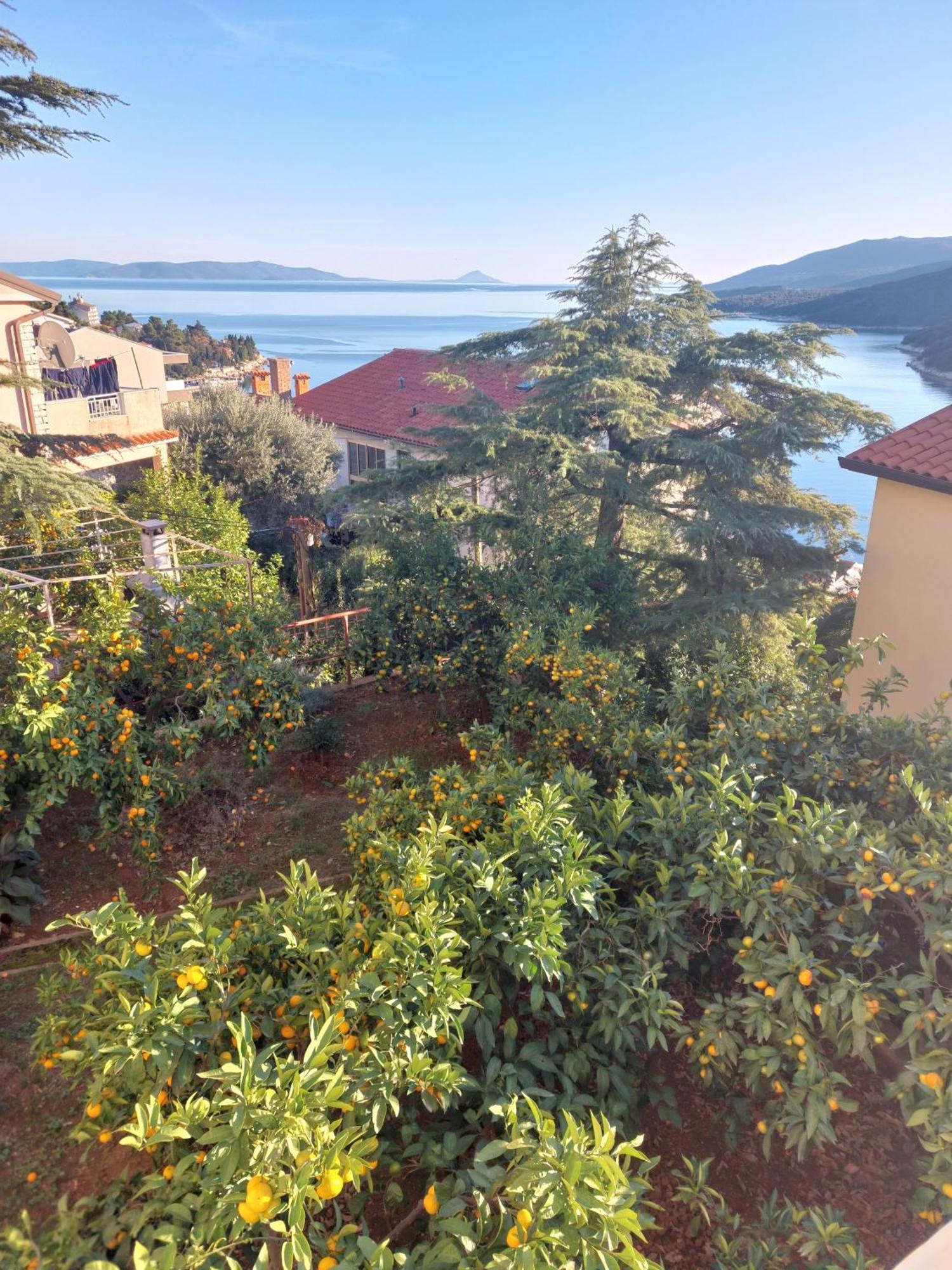 Apartment Park Rabac Extérieur photo