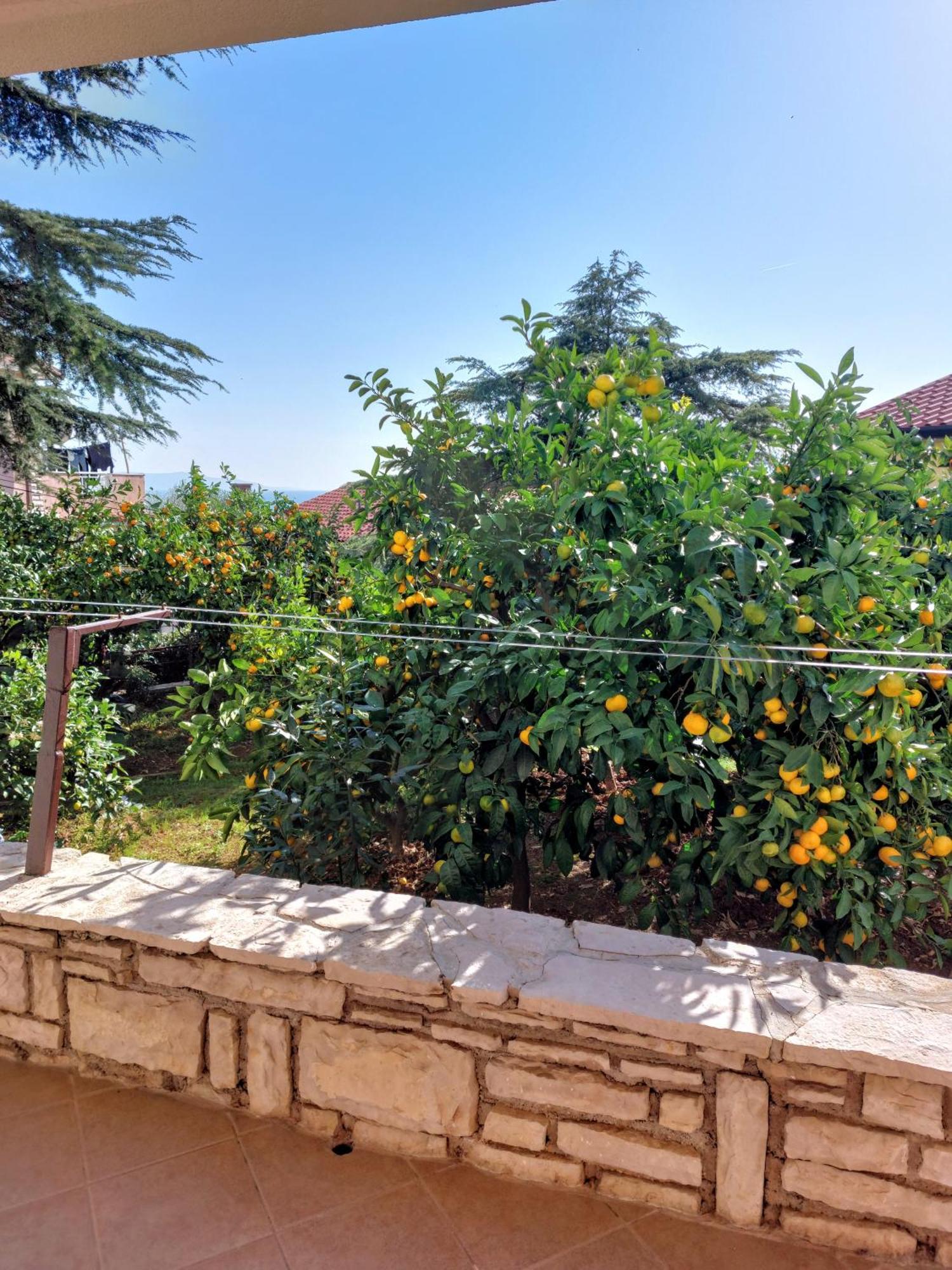 Apartment Park Rabac Extérieur photo